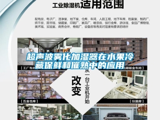 企业新闻超声波雾化加湿器在水果冷藏保鲜和催熟中的应用