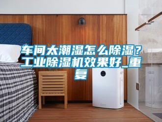 常见问题车间太潮湿怎么除湿？工业除湿机效果好_重复