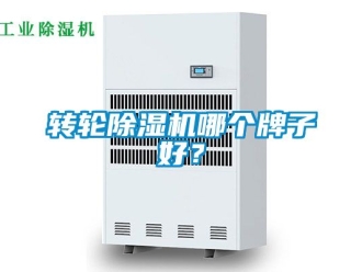 常见问题转轮除湿机哪个牌子好？