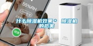 什么除湿机效果＊ 除湿机的危害