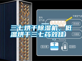 知识百科三七烘干除湿机，低温烘干三七药效佳