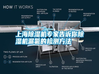 知识百科上海除湿机专家告诉你除湿机漏氟的检测方法