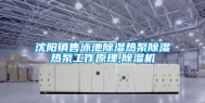 沈阳销售泳池除湿热泵除湿热泵工作原理,除湿机