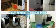 家用除湿机价格除湿机原理