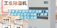 智能型恒温恒湿试验箱｜恒温恒湿交变试验箱｜高温高湿实验箱