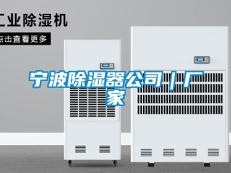 行业新闻宁波除湿器公司｜厂家