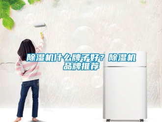 企业新闻除湿机什么牌子好？除湿机品牌推荐