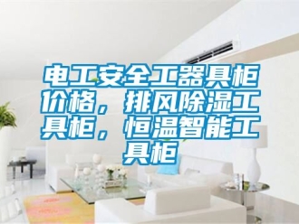 知识百科电工安全工器具柜价格，排风除湿工具柜，恒温智能工具柜