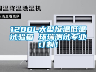 常见问题1200L大型恒温低温试验箱 环瑞测试专业订制！