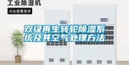 双级再生转轮除湿系统及其空气处理方法