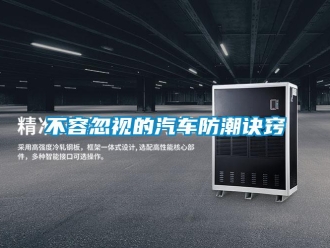 常见问题不容忽视的汽车防潮诀窍