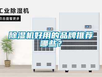 企业新闻除湿机好用的品牌推荐哪些？