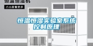 恒温恒湿实验室系统控制原理