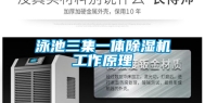 泳池三集一体除湿机工作原理