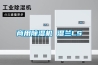 商用除湿机 湿兰LS