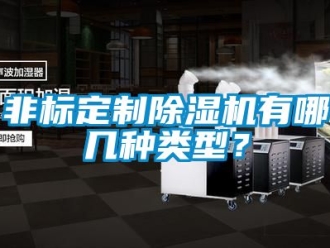 行业新闻非标定制除湿机有哪几种类型？