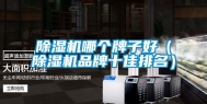 除湿机哪个牌子好（除湿机品牌十佳排名）