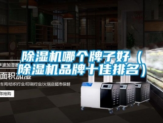 企业新闻除湿机哪个牌子好（除湿机品牌十佳排名）
