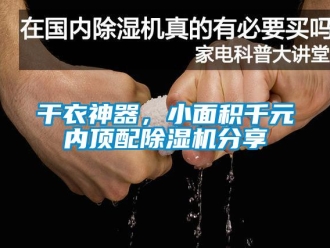 企业新闻干衣神器，小面积千元内顶配除湿机分享