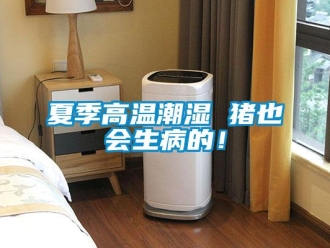 知识百科夏季高温潮湿 猪也会生病的！