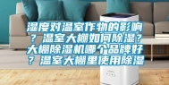 湿度对温室作物的影响？温室大棚如何除湿？大棚除湿机哪个品牌好？温室大棚里使用除湿