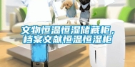 文物恒温恒湿储藏柜，档案文献恒温恒湿柜