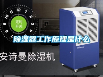 行业新闻除湿器工作原理是什么