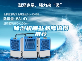 企业新闻除湿机哪些品牌值得推荐
