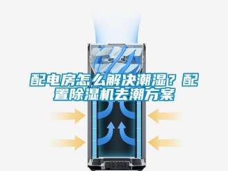 行业新闻配电房怎么解决潮湿？配置除湿机去潮方案
