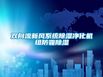 常见问题双向流新风系统除湿净化机组防霾除湿