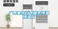 广西象牙白可程式恒温恒湿仪