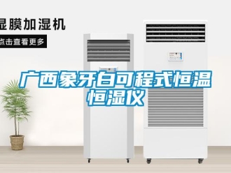 知识百科广西象牙白可程式恒温恒湿仪