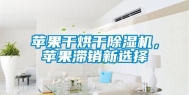 苹果干烘干除湿机，苹果滞销新选择