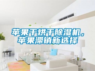行业新闻苹果干烘干除湿机，苹果滞销新选择