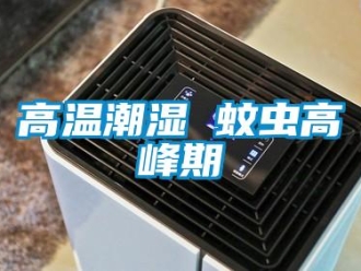 企业新闻高温潮湿 蚊虫高峰期