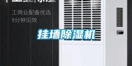 挂墙除湿机