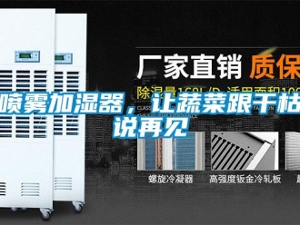 行业新闻喷雾加湿器，让蔬菜跟干枯说再见