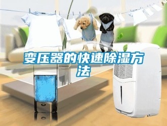 企业新闻变压器的快速除湿方法