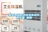 家庭用户购买除湿机是否有必要_重复