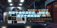 别墅中央除湿系统，别墅全屋式中央除湿机