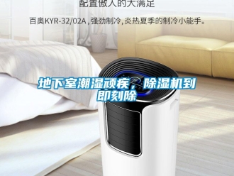 企业新闻地下室潮湿顽疾，除湿机到即刻除