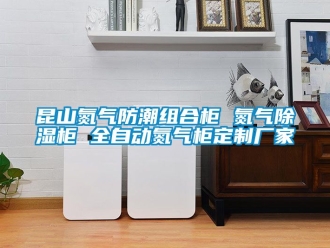 常见问题昆山氮气防潮组合柜 氮气除湿柜 全自动氮气柜定制厂家