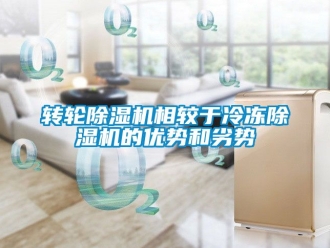 常见问题转轮除湿机相较于冷冻除湿机的优势和劣势