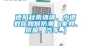 德阳秋雨绵绵，小德教你如何防潮（家具、房屋、汽车..）