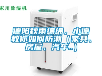 企业新闻德阳秋雨绵绵，小德教你如何防潮（家具、房屋、汽车..）