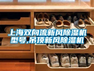 常见问题上海双向流新风除湿机型号,吊顶新风除湿机