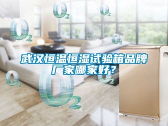 知识百科武汉恒温恒湿试验箱品牌厂家哪家好？