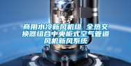 商用水冷新风机组 全热交换器组合中央柜式空气管道风机新风系统