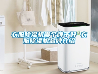 企业新闻衣服除湿机哪个牌子好 衣服除湿机品牌介绍