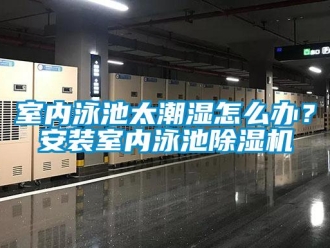 常见问题室内泳池太潮湿怎么办？安装室内泳池除湿机